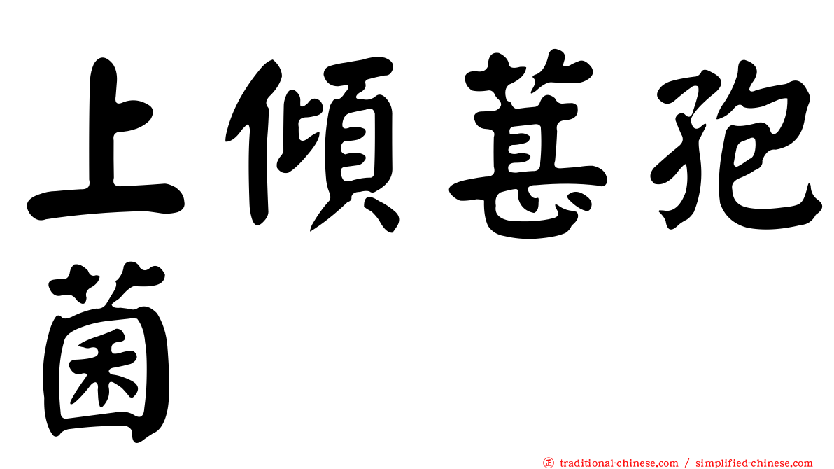 上傾葚孢菌