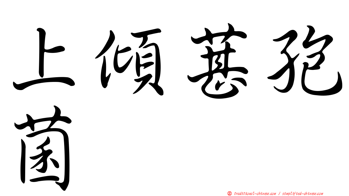 上傾葚孢菌