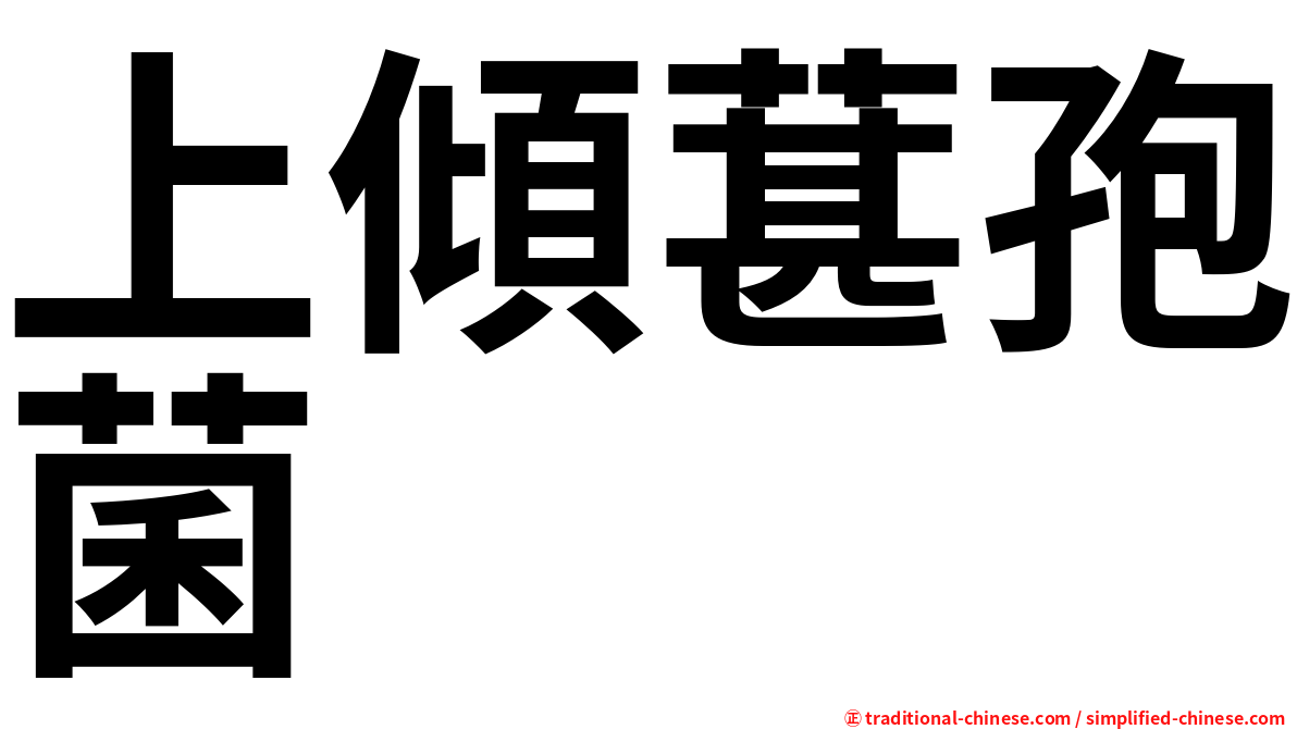 上傾葚孢菌