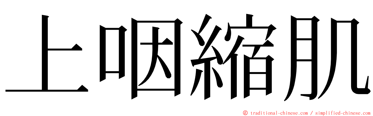 上咽縮肌 ming font