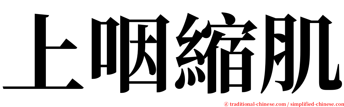 上咽縮肌 serif font