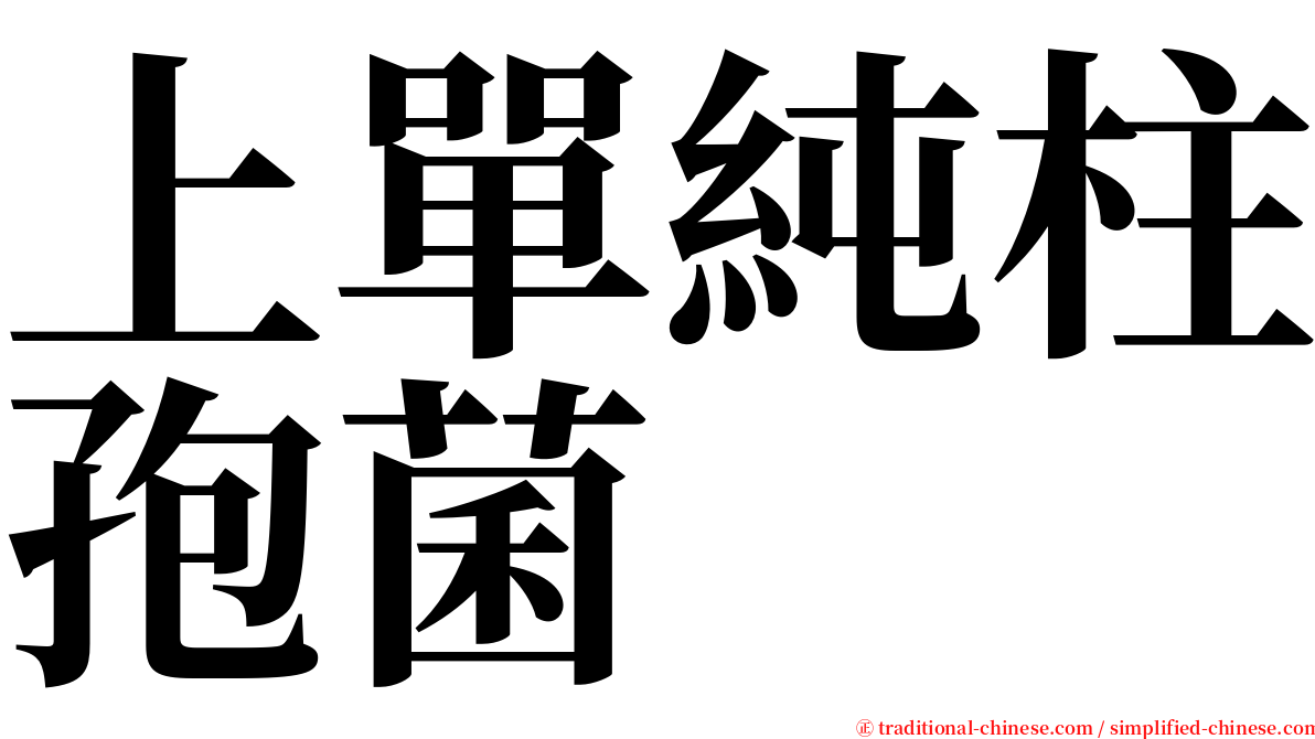 上單純柱孢菌 serif font