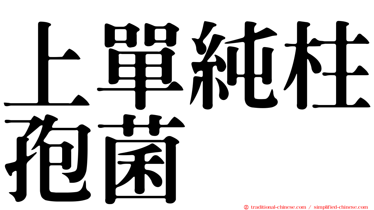 上單純柱孢菌