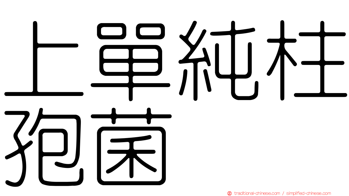 上單純柱孢菌
