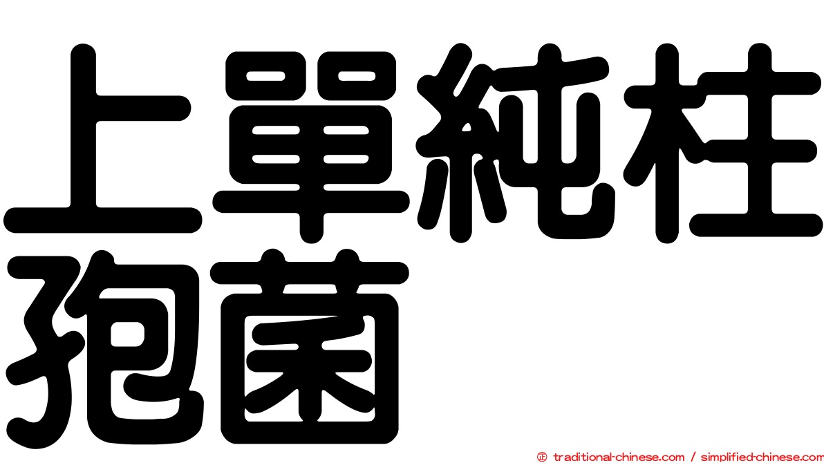 上單純柱孢菌