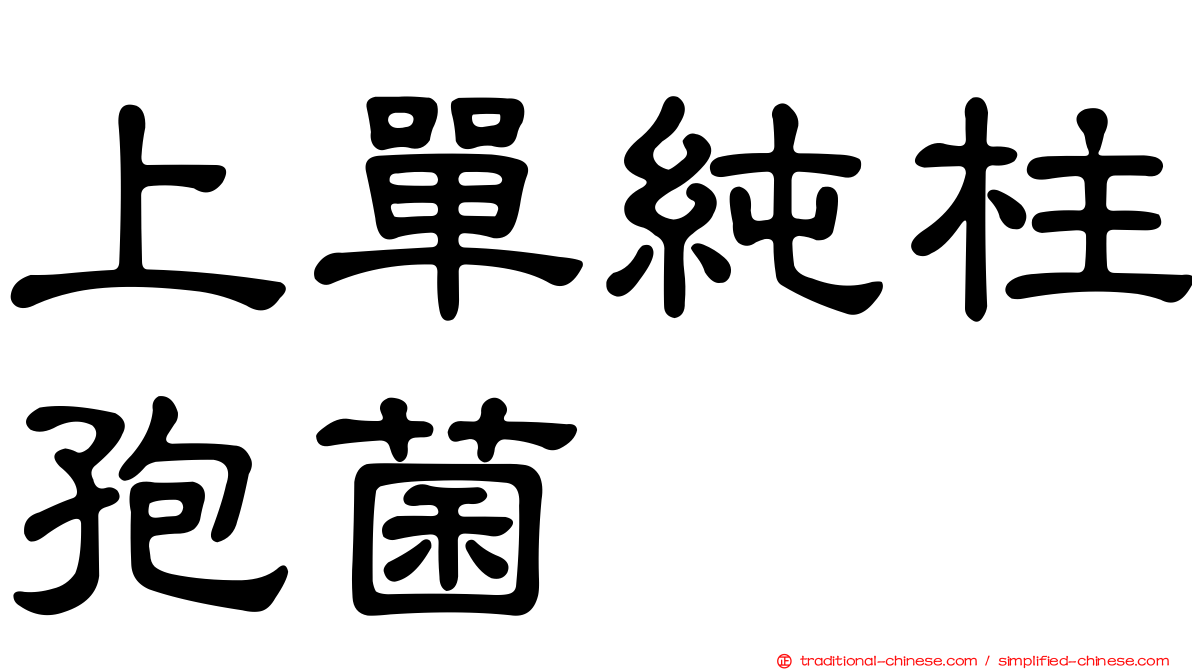 上單純柱孢菌