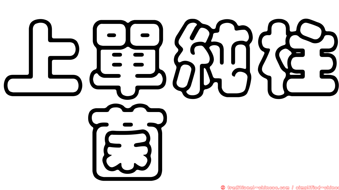 上單純柱孢菌