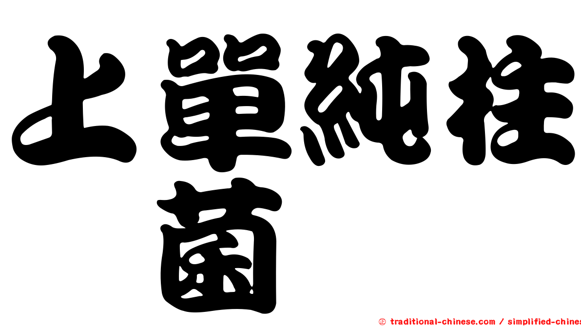 上單純柱孢菌