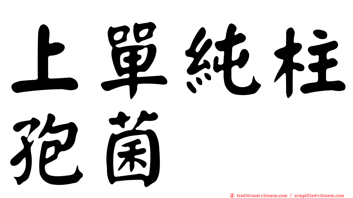 上單純柱孢菌