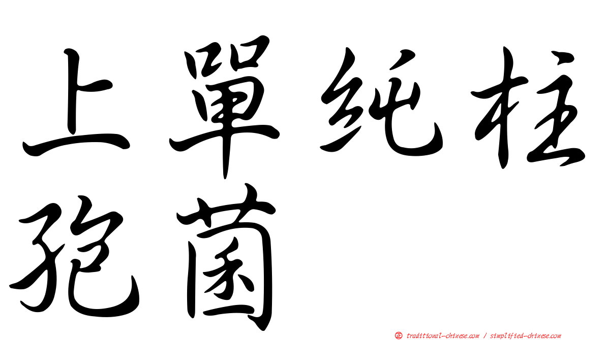 上單純柱孢菌