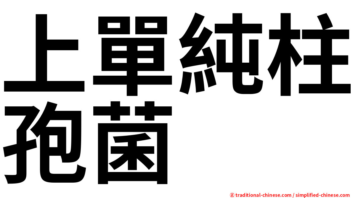 上單純柱孢菌