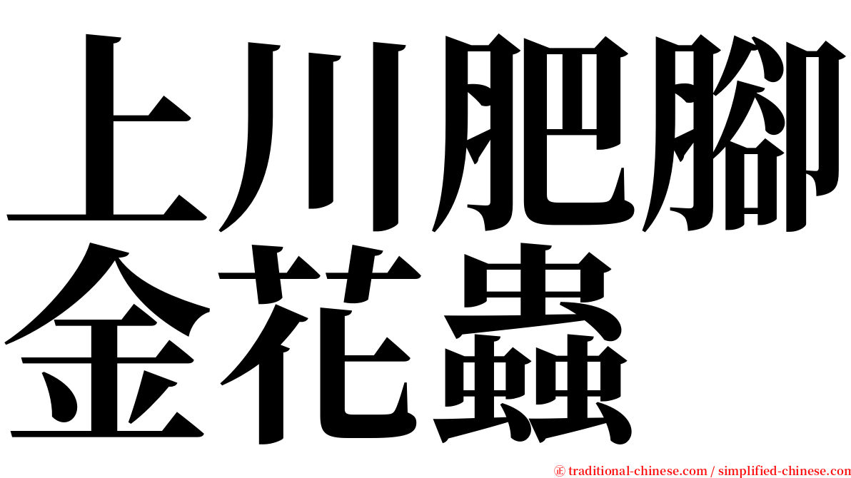 上川肥腳金花蟲 serif font