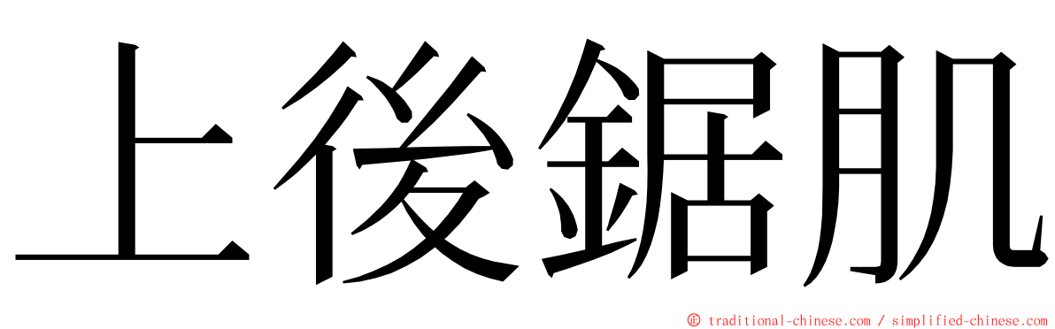 上後鋸肌 ming font