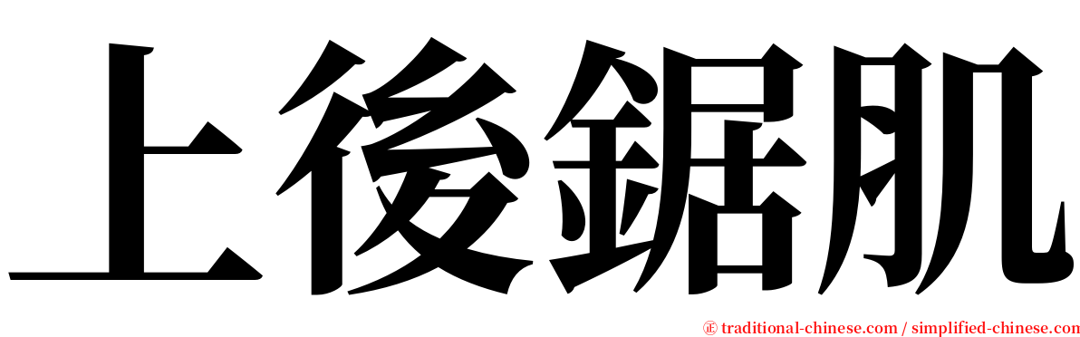 上後鋸肌 serif font