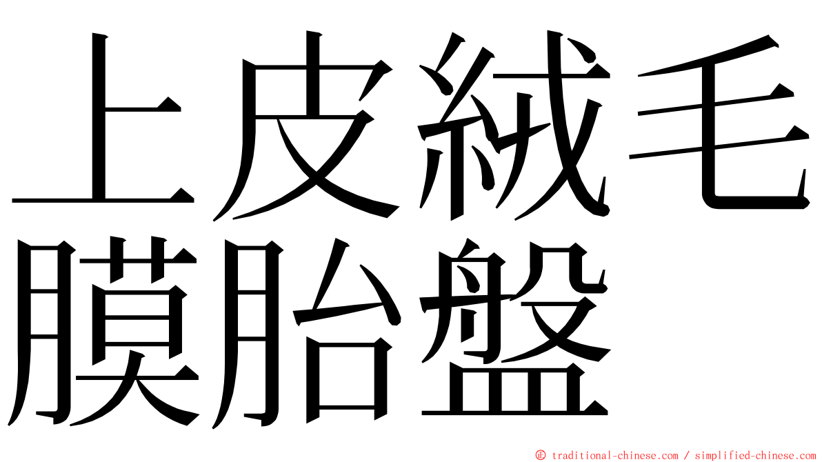 上皮絨毛膜胎盤 ming font