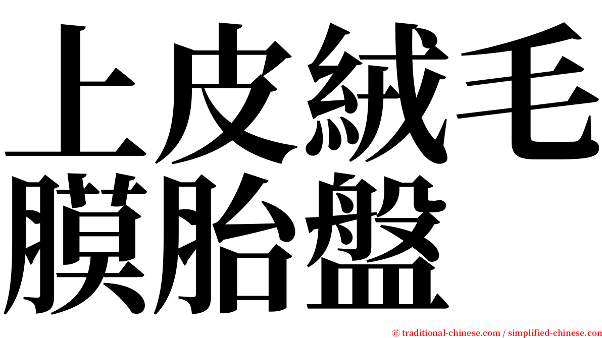 上皮絨毛膜胎盤 serif font