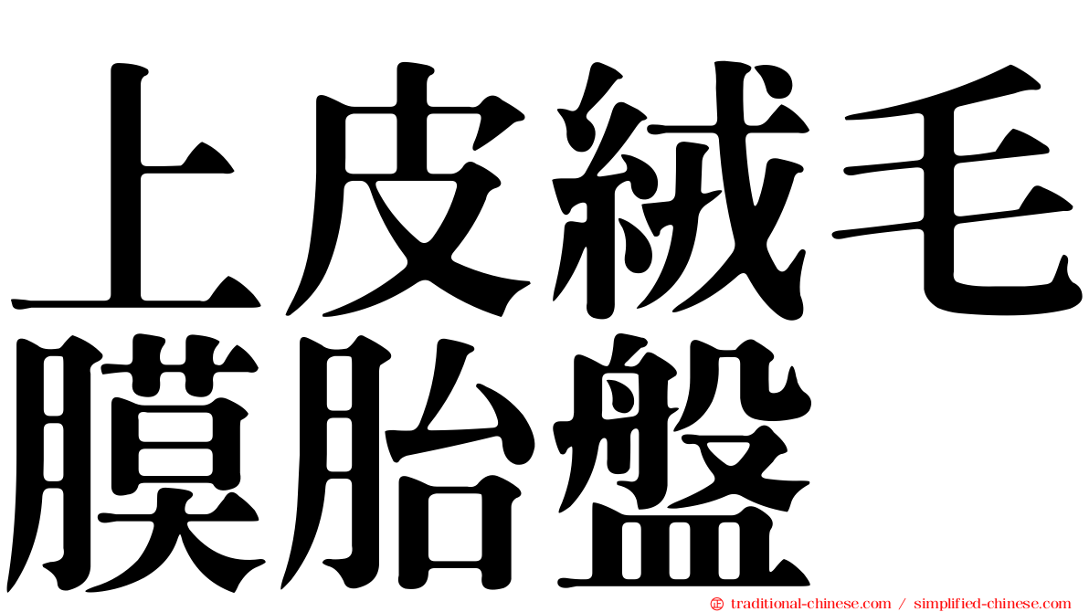 上皮絨毛膜胎盤