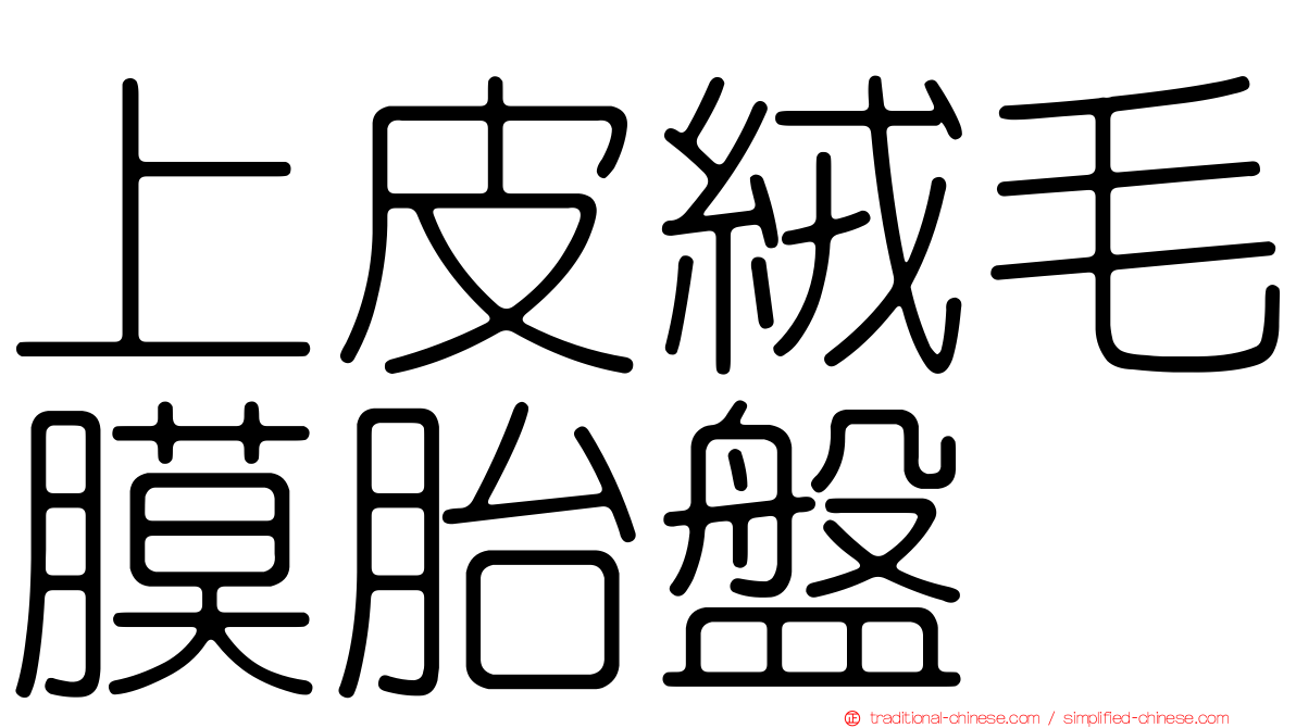 上皮絨毛膜胎盤