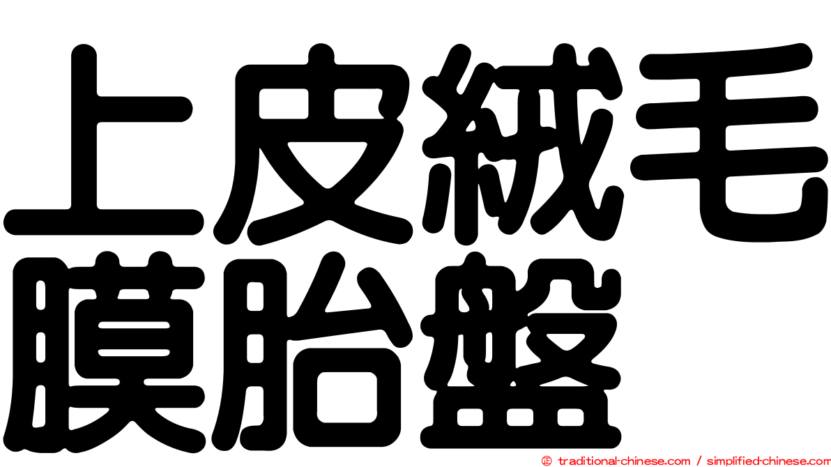 上皮絨毛膜胎盤