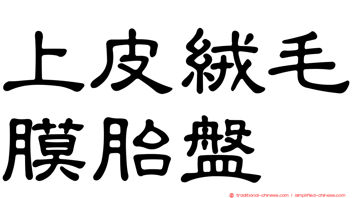 上皮絨毛膜胎盤