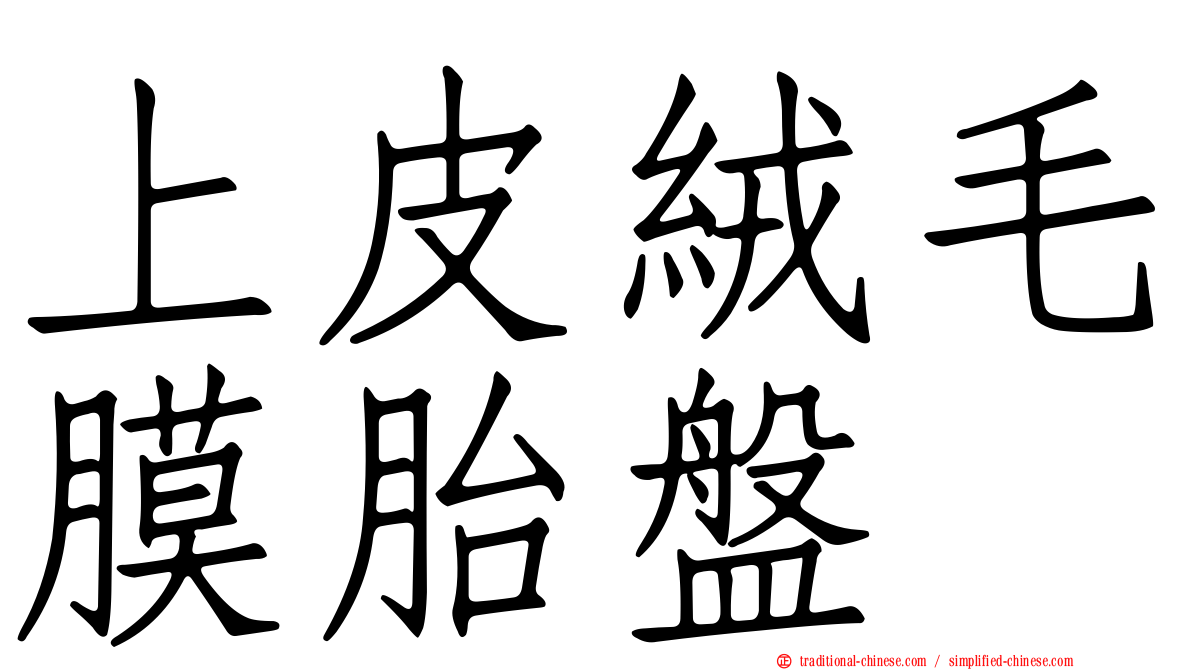上皮絨毛膜胎盤