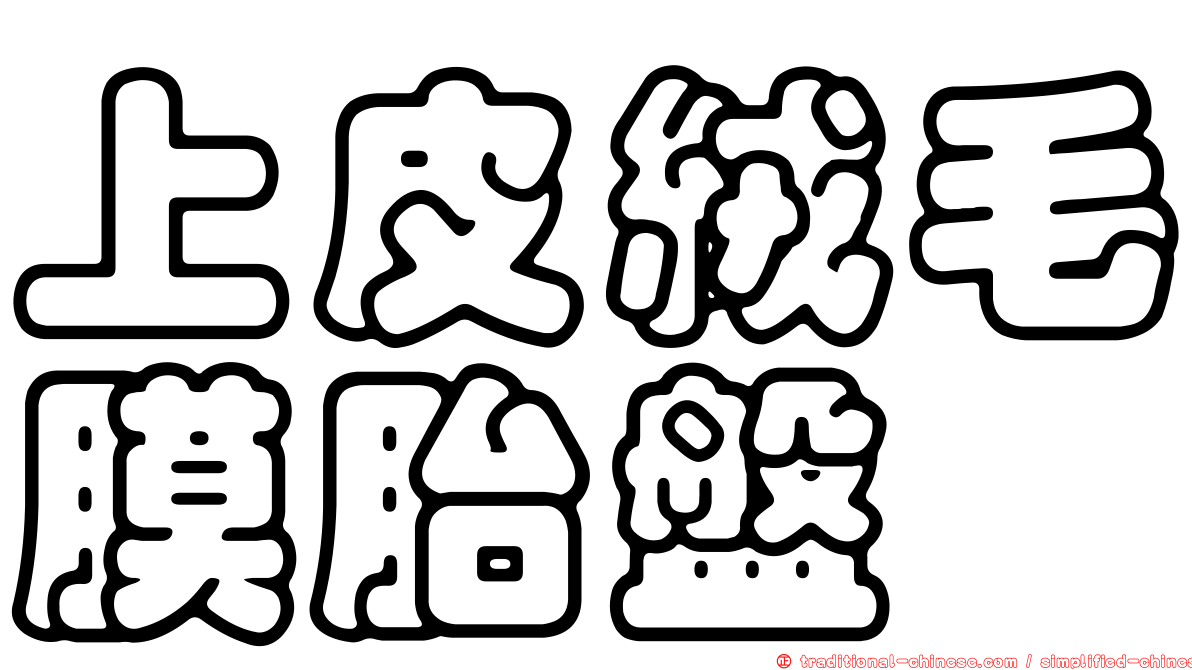 上皮絨毛膜胎盤