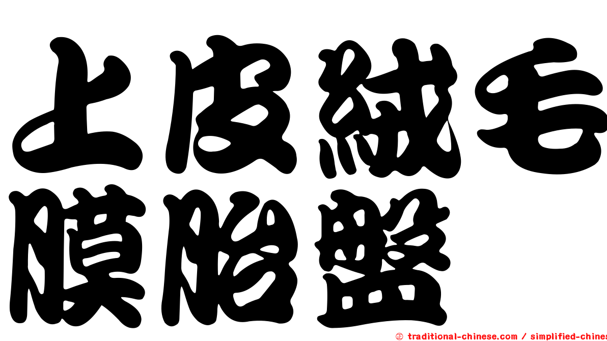 上皮絨毛膜胎盤