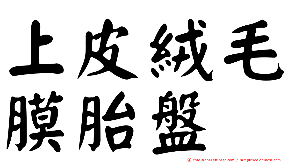 上皮絨毛膜胎盤