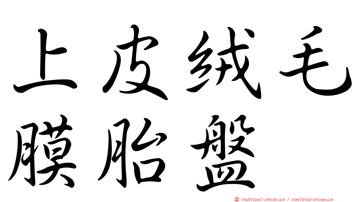 上皮絨毛膜胎盤