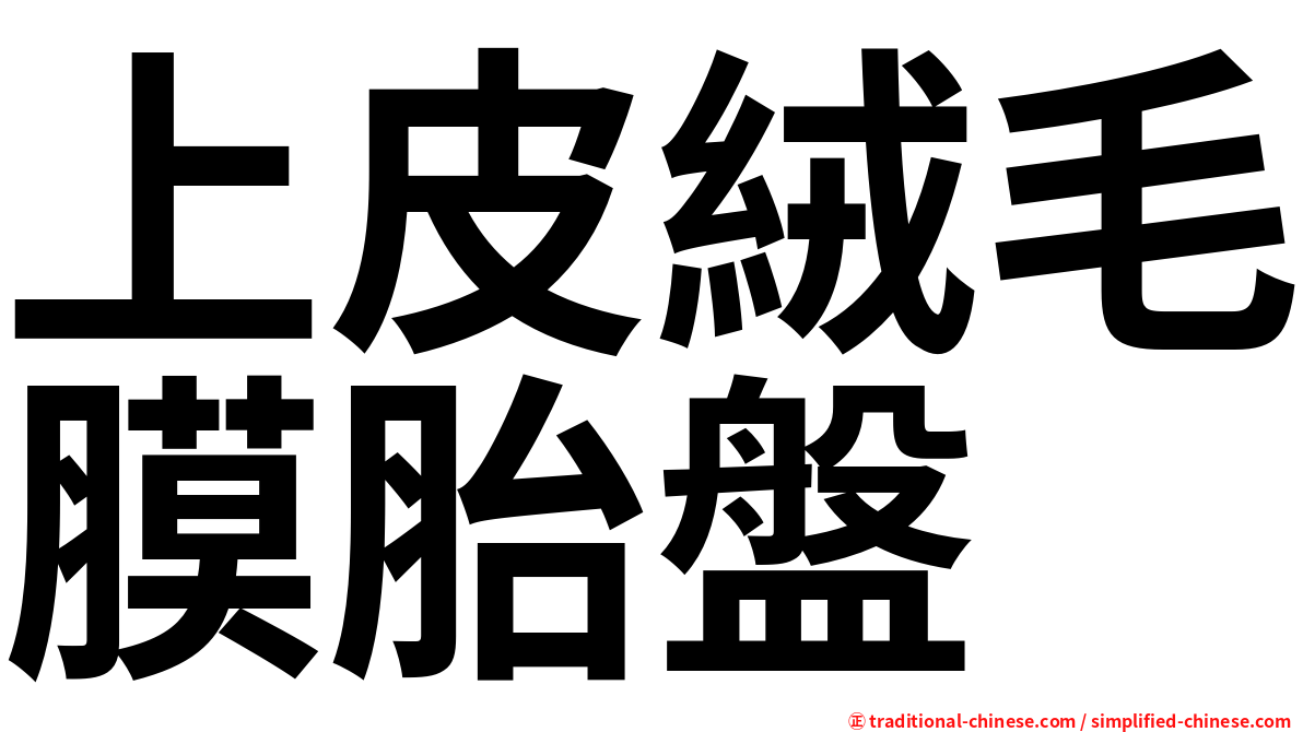 上皮絨毛膜胎盤