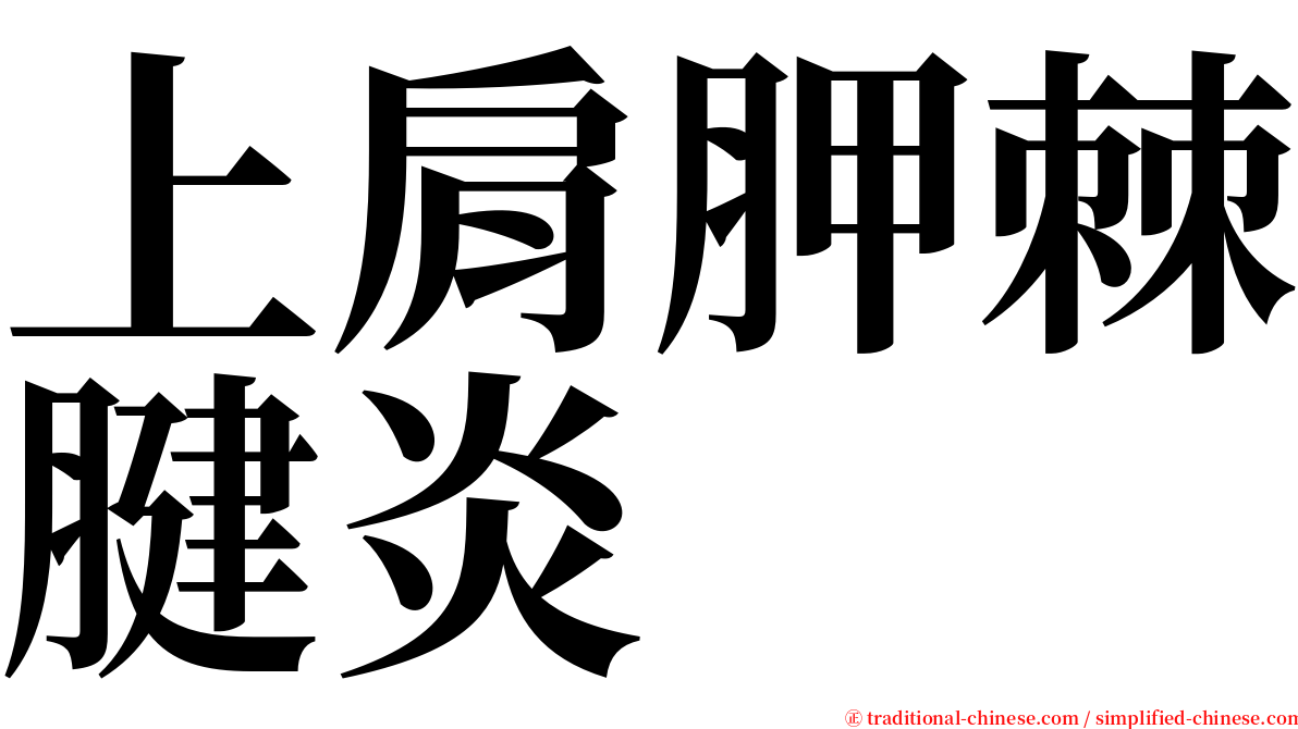 上肩胛棘腱炎 serif font