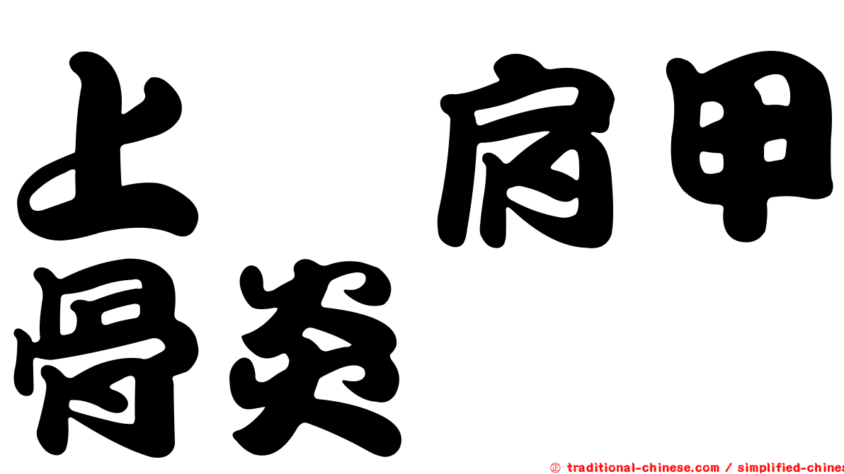 上脕肩甲骨炎