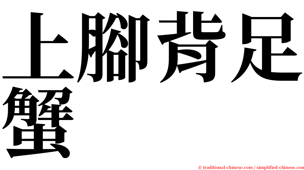 上腳背足蟹 serif font