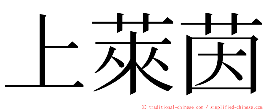 上萊茵 ming font