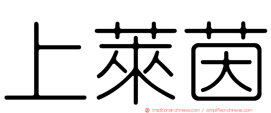 上萊茵