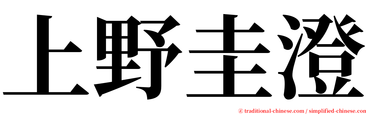 上野圭澄 serif font