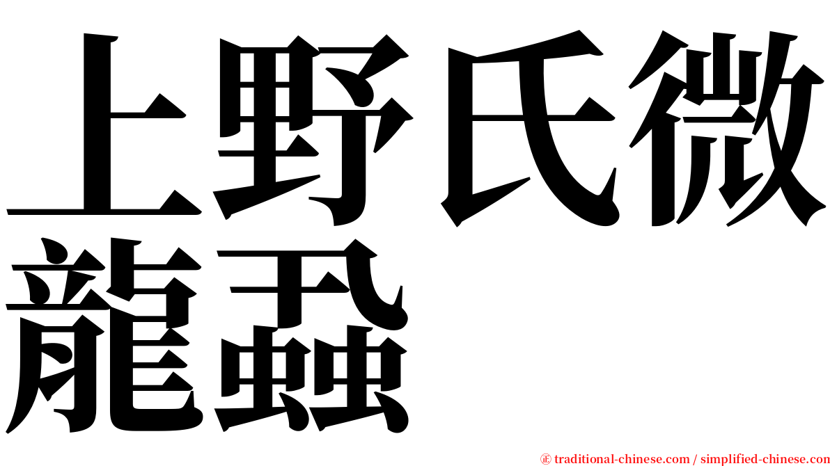 上野氏微龍蝨 serif font
