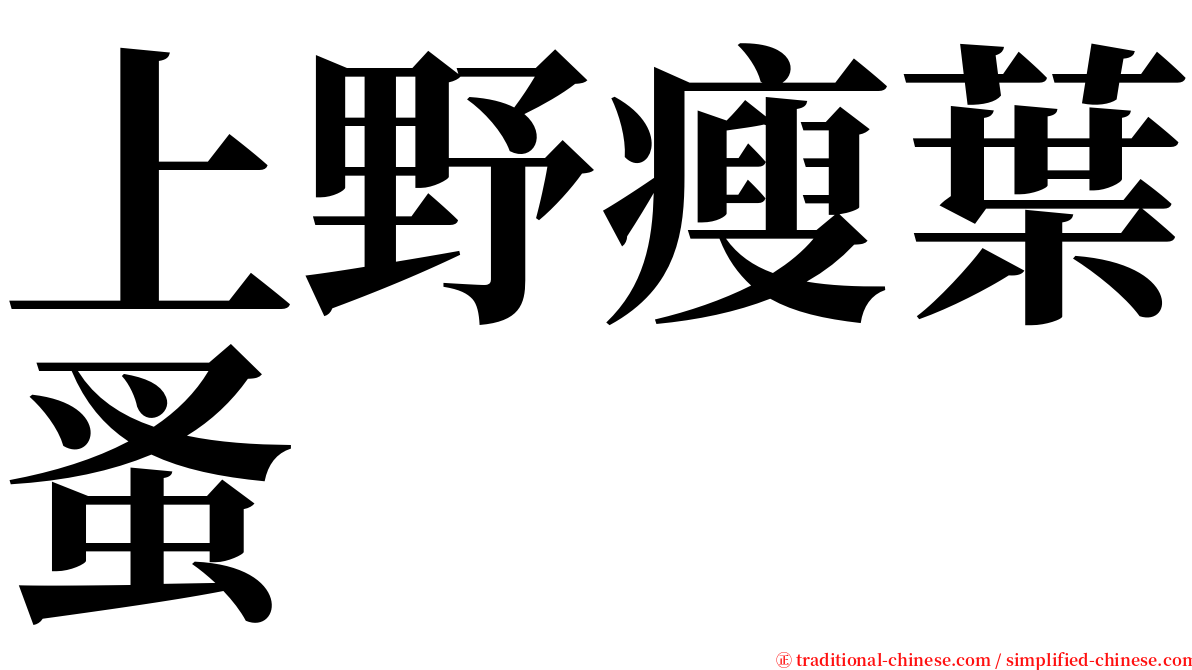 上野瘦葉蚤 serif font