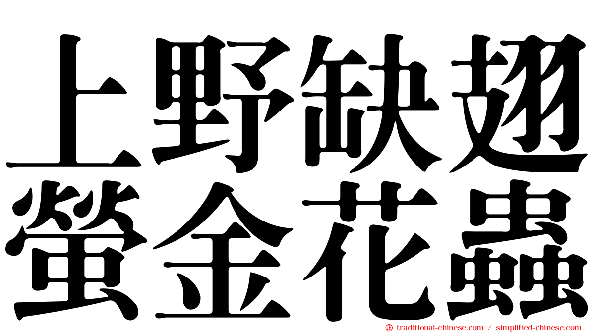 上野缺翅螢金花蟲