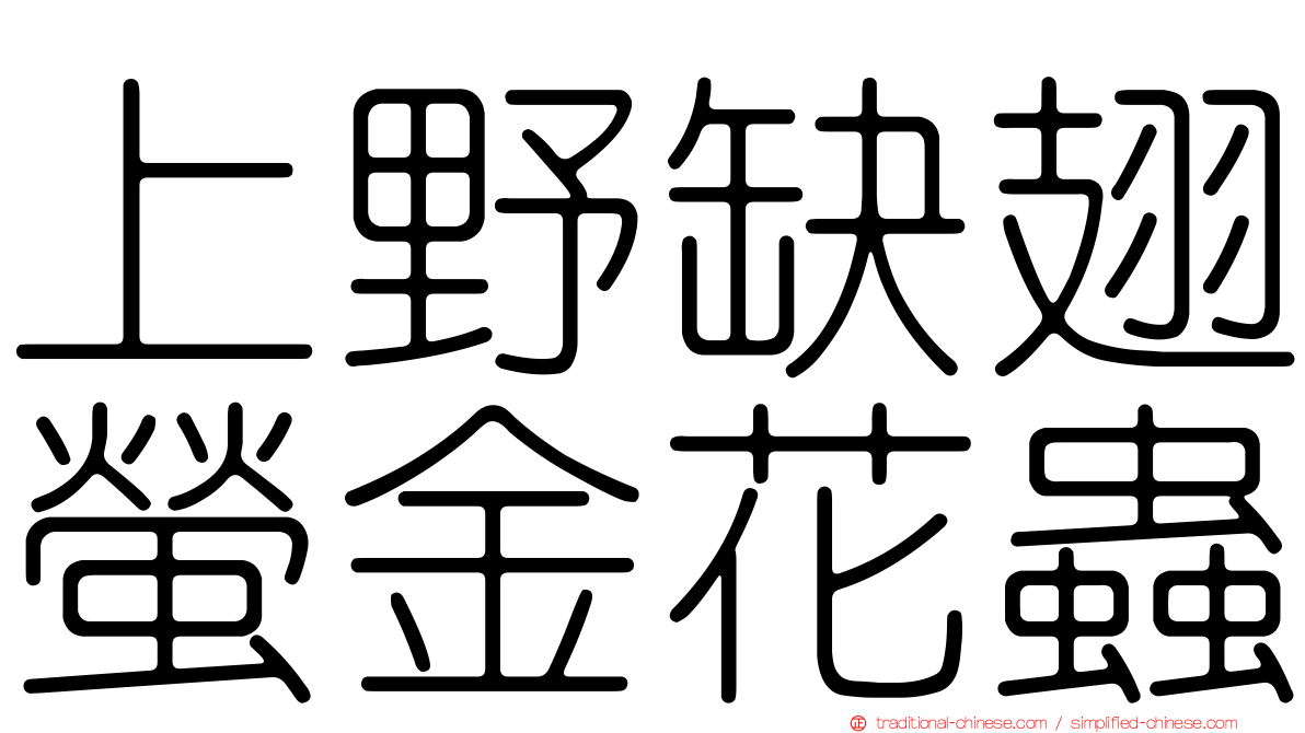上野缺翅螢金花蟲
