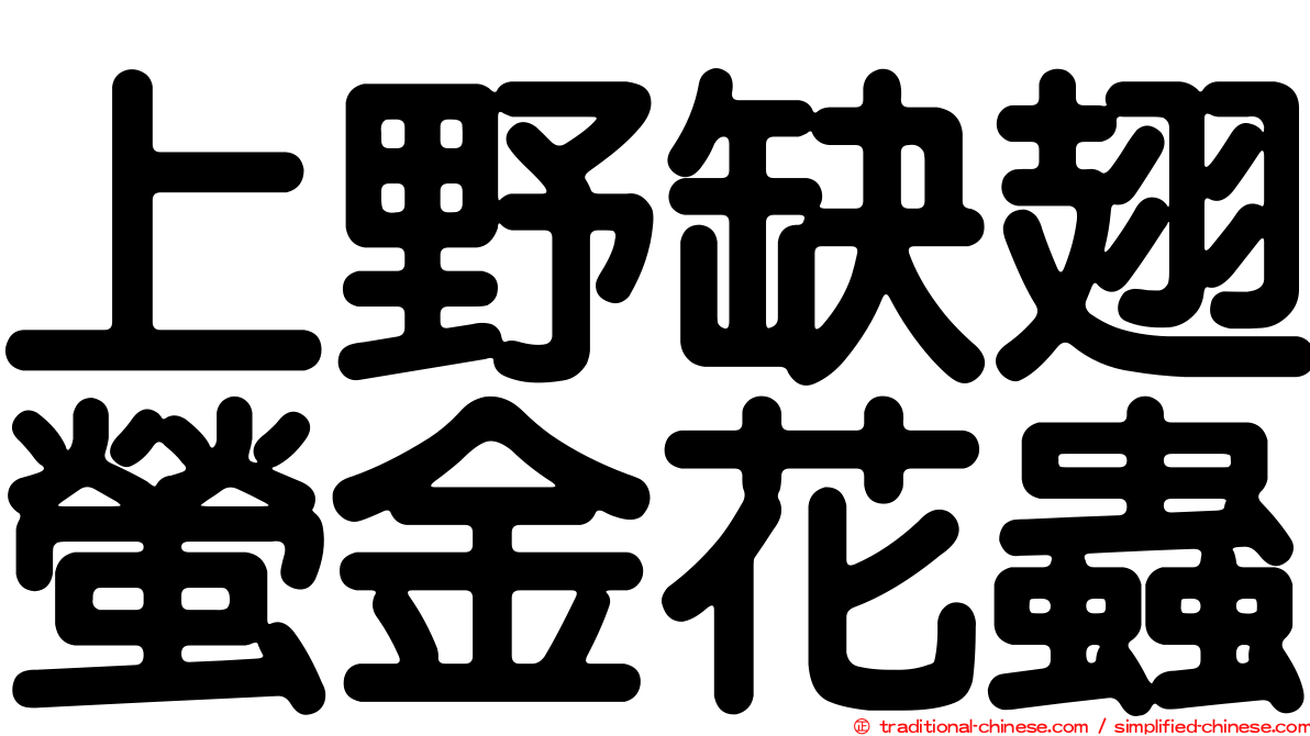 上野缺翅螢金花蟲