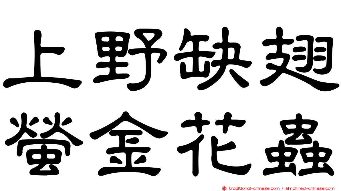 上野缺翅螢金花蟲