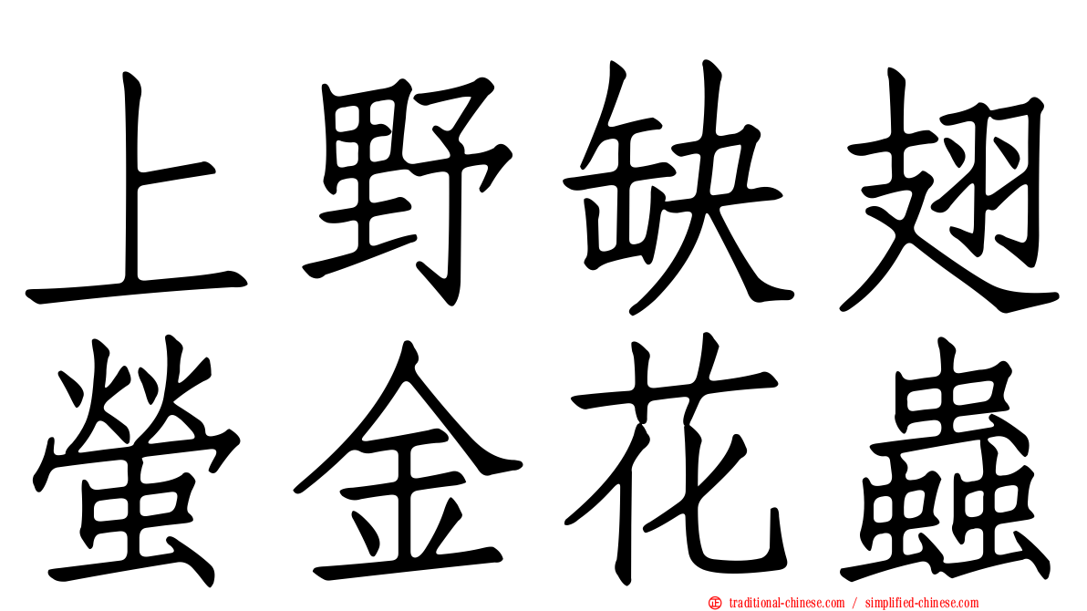 上野缺翅螢金花蟲