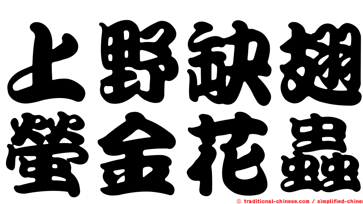 上野缺翅螢金花蟲