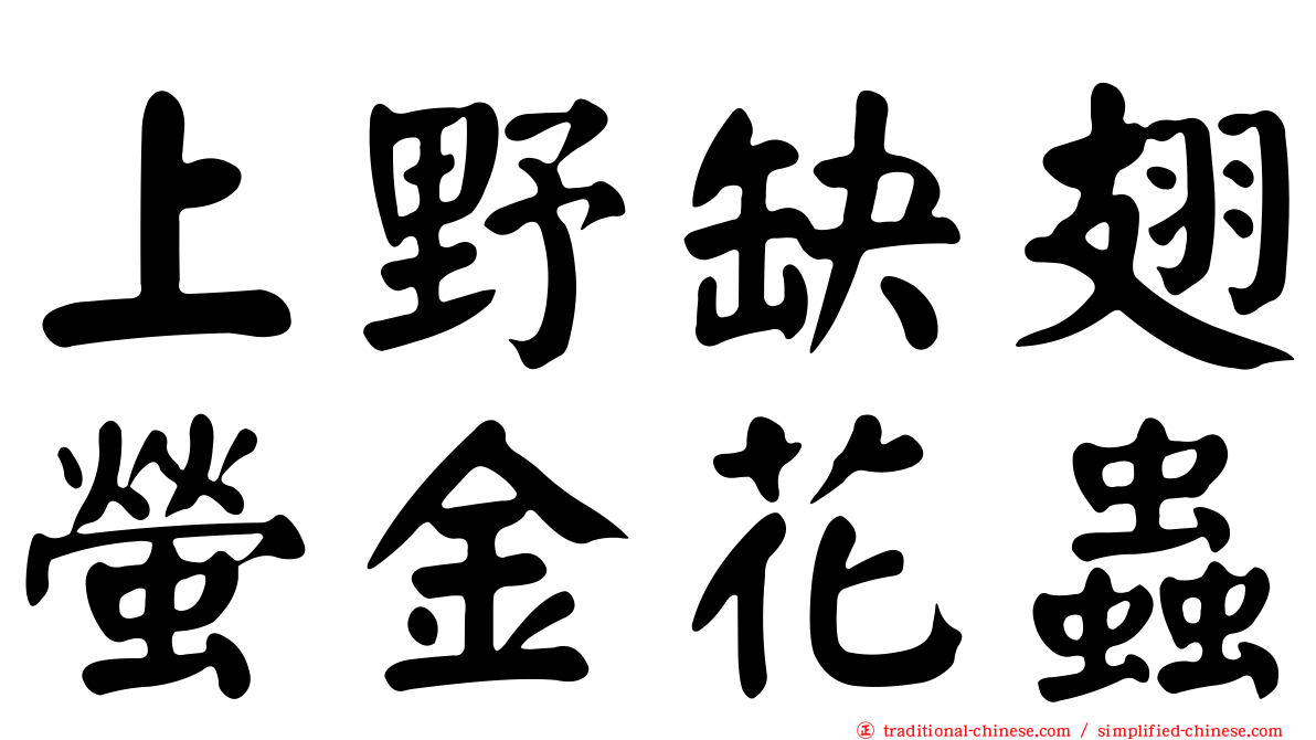 上野缺翅螢金花蟲