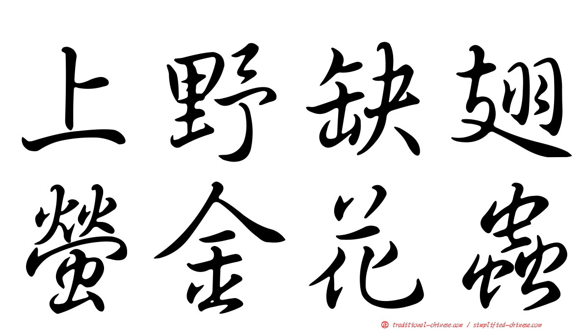 上野缺翅螢金花蟲