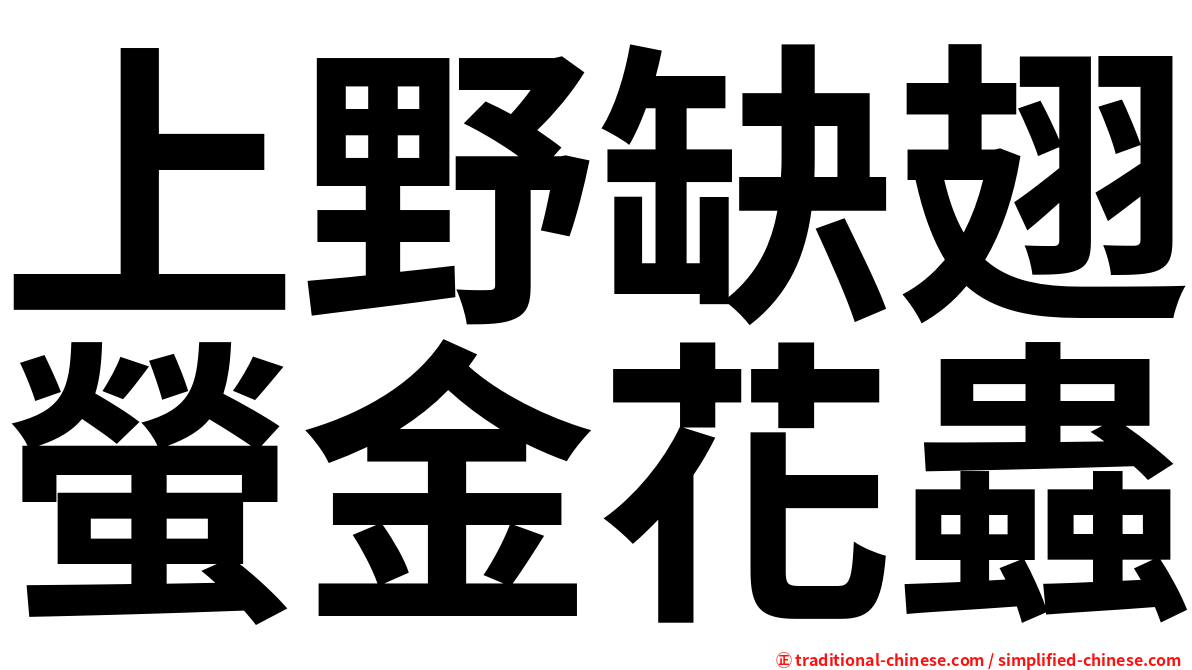 上野缺翅螢金花蟲