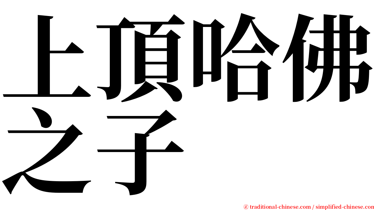 上頂哈佛之子 serif font