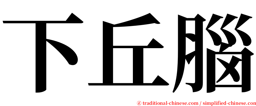 下丘腦 serif font