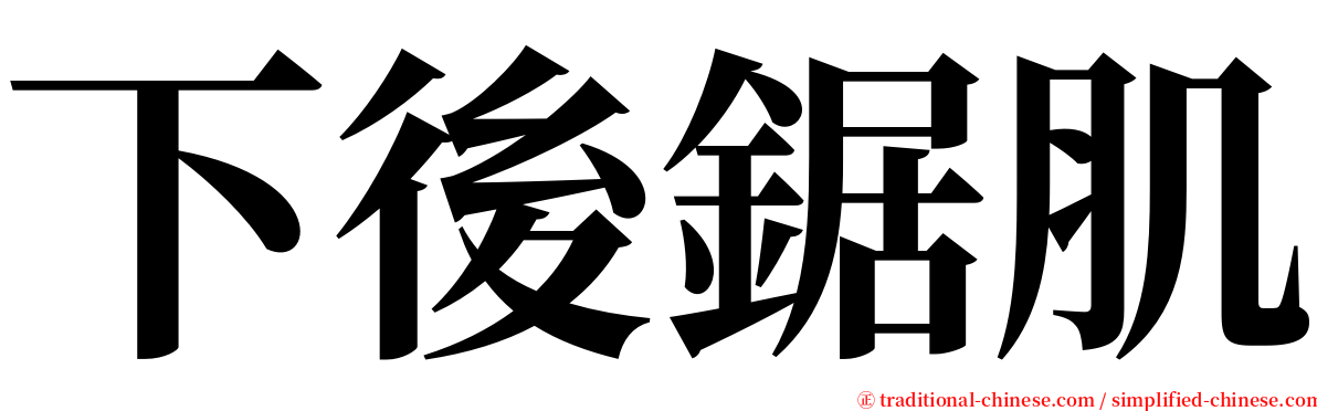 下後鋸肌 serif font